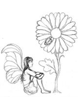 Guardian of the Osteospermum